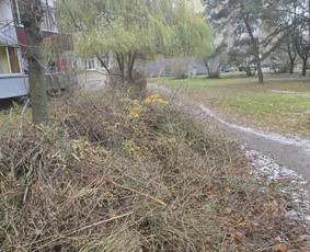 &Scaron;akų i&scaron;vežimas - Land&scaron;afto dizainas, sodininko paslaugos - 2