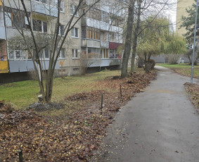 &Scaron;akų i&scaron;vežimas - Land&scaron;afto dizainas, sodininko paslaugos - 1