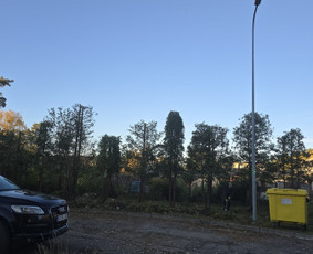 Gyvatvorių karpymas - Land&scaron;afto dizainas, sodininko paslaugos - 2