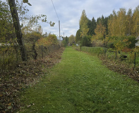 Vaismedžių sodinimas ir priežiūra - Land&scaron;afto dizainas, sodininko paslaugos - 2