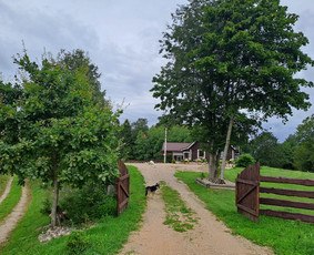 Nuomojama kaimo turizmo sodyba Adamonių sodyba / Gitana / Darbų pavyzdys ID 4241462