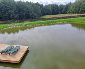 Nuomojama kaimo turizmo sodyba Adamonių sodyba / Gitana / Darbų pavyzdys ID 4241476