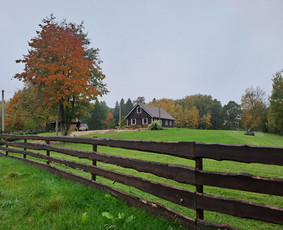 Kaimo turizmo sodybos - Nuomojama kaimo turizmo sodyba ,Adamonių sodyba - 3