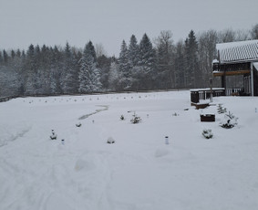 Laisvalaikis, pramogos, turizmas - Nuomojama kaimo turizmo sodyba ,Adamonių sodyba - 2