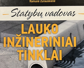 Statinių projektavimas / Structural Engineering Forces Ltd / Darbų pavyzdys ID 4241996