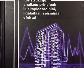 Statinių projektavimas / Structural Engineering Forces Ltd / Darbų pavyzdys ID 4242024