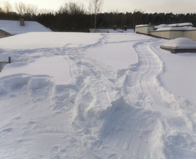 Statybos, apdaila - Medžių pjovimas, genėjimas. Aplinkos,mi&scaron;kų priežiūra - 4