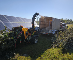 &Scaron;akų smulkinimas - Medžių pjovimas, genėjimas. Aplinkos,mi&scaron;kų priežiūra - 1