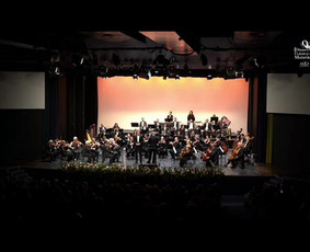 Dainavimo, vokalo pamokos - Dainavimo pamokos - 2