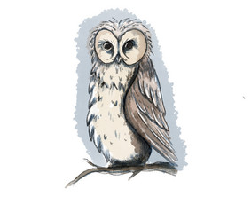 Skaitmeninių iliustracijų kūrimas - Iliustracijų pie&scaron;imas - 4