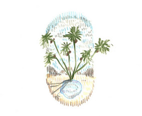 Iliustracijų pie&scaron;imas - Iliustracijų pie&scaron;imas - 4