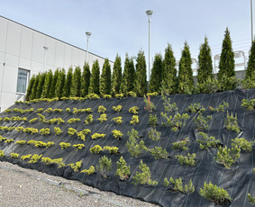 &Scaron;laitų tvirtinimas ir apželdinimas - Daugiau nei apželdinimas- nuo idėjos iki jaukaus kiemo! - 3