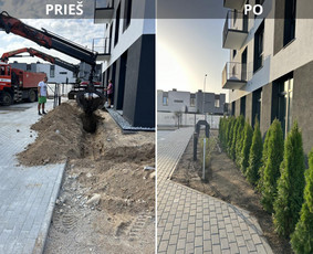 Daugiau nei apželdinimas- nuo idėjos iki jaukaus kiemo! / DaivosMedelynas / Darbų pavyzdys ID 4242894