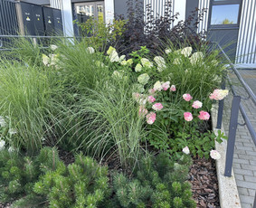 Alpinariumų, gėlynų įrengimas - Daugiau nei apželdinimas- nuo idėjos iki jaukaus kiemo! - 2