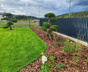 Alpinariumų, gėlynų įrengimas - Daugiau nei apželdinimas- nuo idėjos iki jaukaus kiemo! - 3