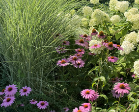 Alpinariumų, gėlynų įrengimas - Daugiau nei apželdinimas- nuo idėjos iki jaukaus kiemo! - 4