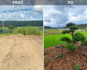 Statybos, apdaila - Daugiau nei apželdinimas- nuo idėjos iki jaukaus kiemo! - 2