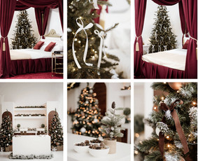 Kalėdinė fotosesija - Diana Mezencevičienė - 2