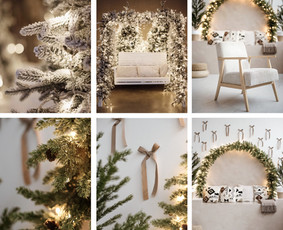 Kalėdinė fotosesija - Diana Mezencevičienė - 1