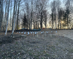 Stogdengių komanda / Mindaugas Gamyba / Darbų pavyzdys ID 4243478