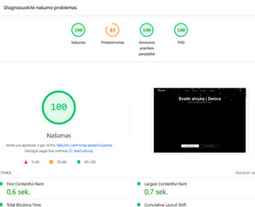 Paslaugos verslui - Vienetinių verslo valdymo sistemų (erp/crm), el. parduotuvių - 2