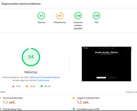 Paslaugos verslui - Vienetinių verslo valdymo sistemų (erp/crm), el. parduotuvių - 3