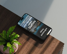 Svetainių kūrimas - #1 Internetinių svetainių ir parduotuvių kūrimas - 4