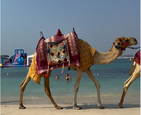 Laisvalaikis, pramogos, turizmas - Kelionių planavimas, atsikratykite nereikalingo streso! - 2