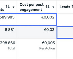 Meta Ads, Google Ads - maksimali grąža iš reklamos / Modesta Briedytė / Darbų pavyzdys ID 4246524