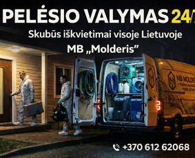Buitinės paslaugos - Pelėsio ir grybų naikinimas - 2