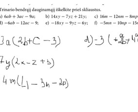 Pagalba matematikos namų darbuose - Matematikos korepetitorė (1-8kl.) - 1