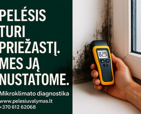 Pelėsio ir grybų naikinimas / MB Molderis / Darbų pavyzdys ID 4247368