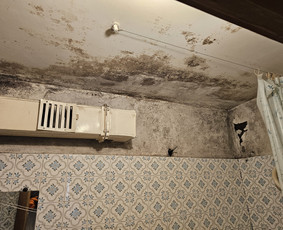 Pelėsio ir grybų naikinimas / MB Molderis / Darbų pavyzdys ID 4247374