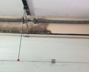 Buitinės paslaugos - Pelėsio ir grybų naikinimas - 3