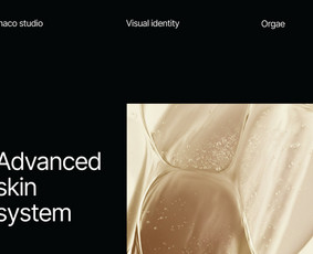 Maketavimas - Branding, skaitmeninių produktų ir Ai vizualiniai sprendimai - 2