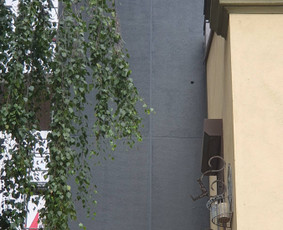 Statybos darbai - Fasado ir vidaus apdailos darbai - 2