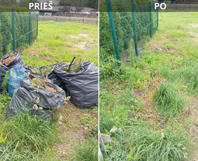 Baldų ir statybinių atliekų išvežimas – greitai ir legaliai / Utilizatorius / Darbų pavyzdys ID 4247890