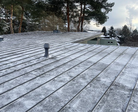 Aplinka, sodas - Atliekame pagalbinio darbus prie statybų. - 1