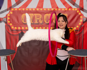 Pramogos vaikams - Mini cirkas - 1