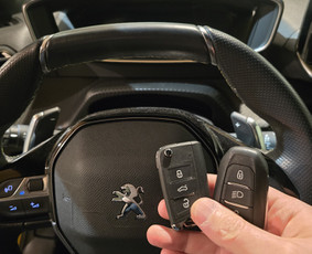 Avarinis automobiliu atrakinimas / Avarinis atrakinimas / Darbų pavyzdys ID 4248574