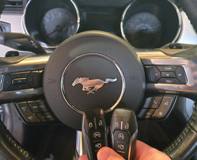 Avarinis automobiliu atrakinimas / Avarinis atrakinimas / Darbų pavyzdys ID 4248578