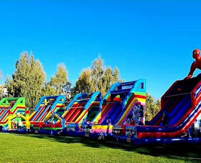 Pripučiamų batutų nuoma / Ričardas / Darbų pavyzdys ID 4249040