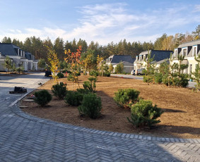 Individualių namų statyba iki raktų - Karkasinių namų statyba - 3