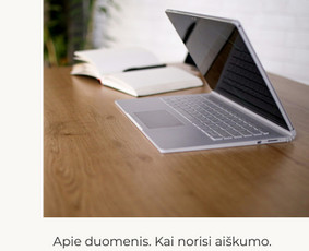 IT saugos auditas - Duomenų tvarkymo situacijų įvertinimas ir konsultacijos - 1