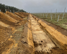 Matininkai, geodezininkai - Matininko - geodezininko paslaugos, topografiniai planai - 2