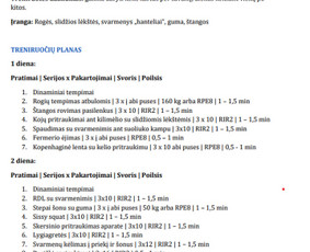 Asmeninės treniruočių programos sudarymas - Asmeninis treneris Kaune / Personal trainer in Kaunas - 1