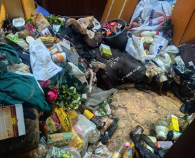 Aplinka, sodas - Pigiausias atliekų, &scaron;iuk&scaron;lių i&scaron;vežimas perkrausta griovimas! - 4