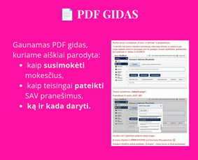 Konsultacijos mokesčių klausimais - Individualios veiklos konsultacijos/seminarai/deklaracijos - 3