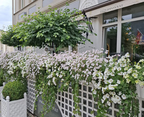 Augalų ir medelių sodinimas - Apželdinimo darbai. Apželdinimo planas, sąmata, pokalbis vie - 4