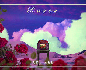 Reklama, dizainas, spauda - Video montavimas - 1